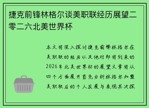 捷克前锋林格尔谈美职联经历展望二零二六北美世界杯